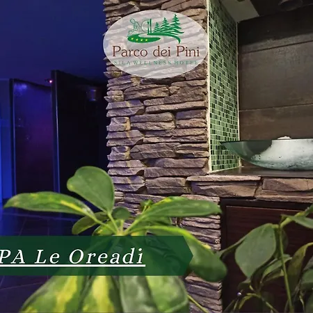 Parco Dei Pini - Sila Wellness 4* Taverna (Calabria)