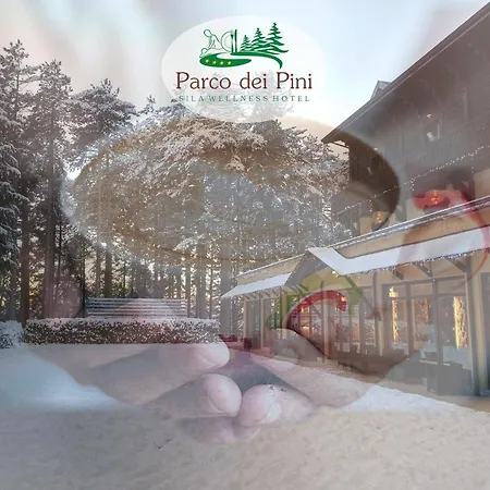 Parco Dei Pini - Sila Wellness 4*