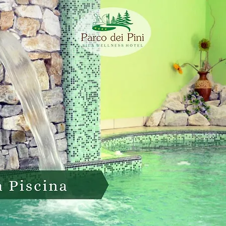 Parco Dei Pini - Sila Wellness 호텔 4*
