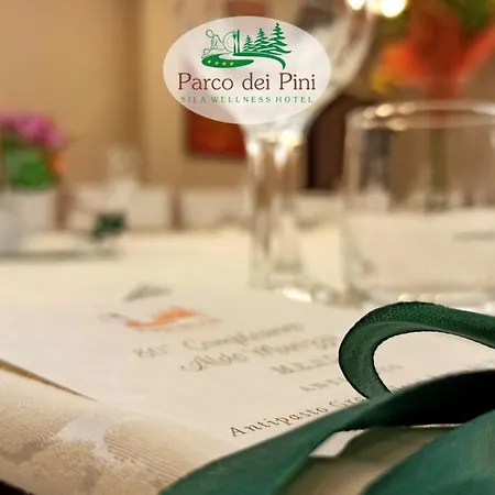 Hotel Parco Dei Pini - Sila Wellness 4*