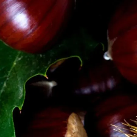 Parco Dei Pini - Sila Wellness Hotel 4*