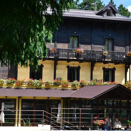 Hotel Parco Dei Pini - Sila Wellness Taverna (Calabria)