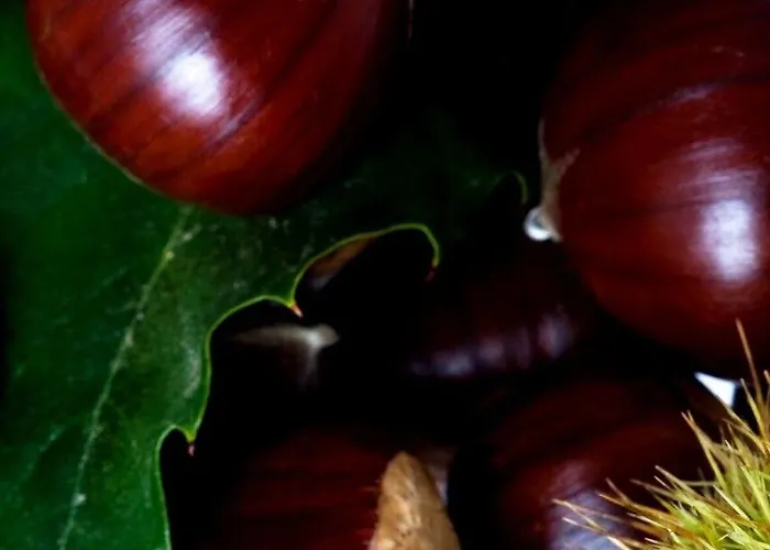 Parco Dei Pini - Sila Wellness Hotel 4*