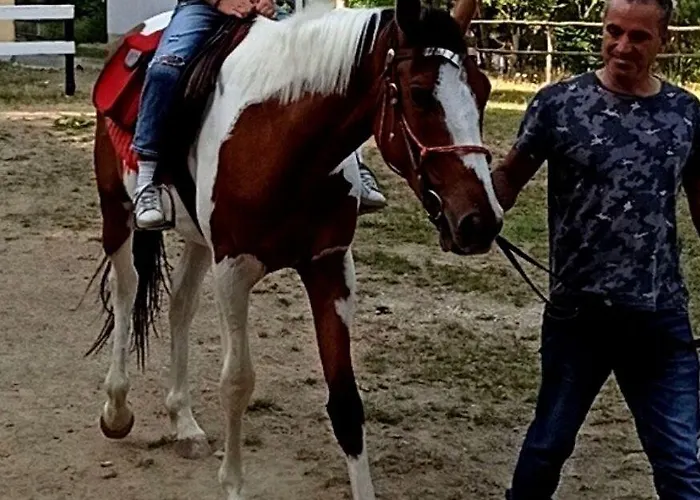 Hotel Parco Dei Pini - Sila Wellness Taverna (Calabria)